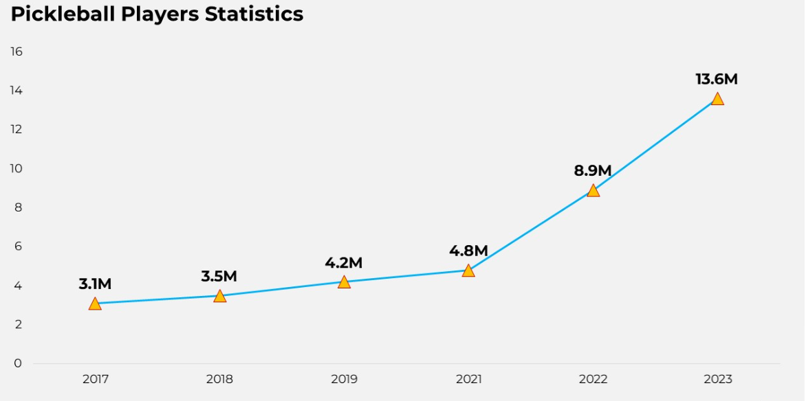 Pickleball Players Statistics